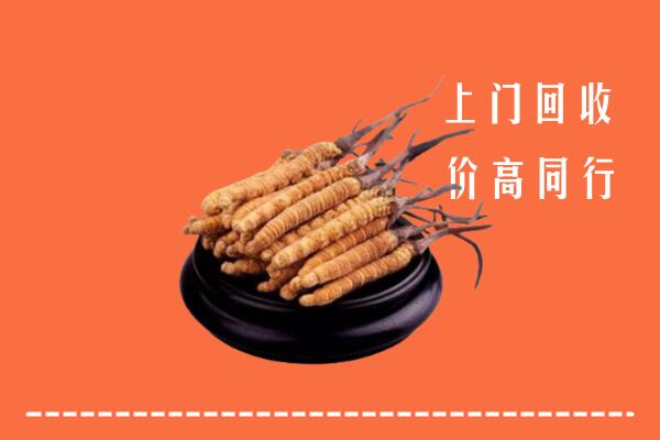 高价求购：汉寿县回收散虫草