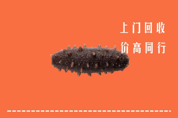 汉寿县回收海参