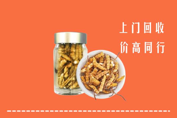 汉寿县回收冬虫夏草